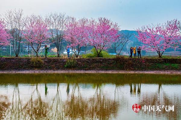 雷迪克：過去三天我們布置了一些針對(duì)性戰(zhàn)術(shù) 球員們執(zhí)行得很好